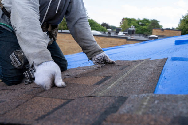 Residential Roof Replacement in Luverne, AL