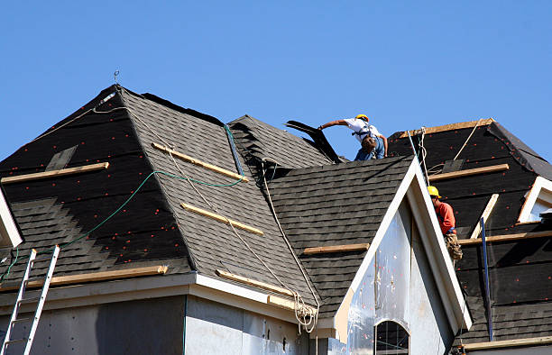 Gutter Installation and Roofing in Luverne, AL