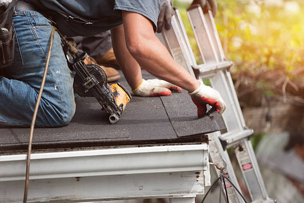 Best Roof Gutter Cleaning  in Luverne, AL
